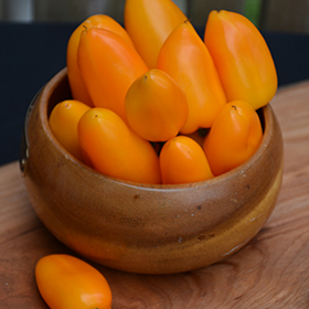 Plant Photo 8